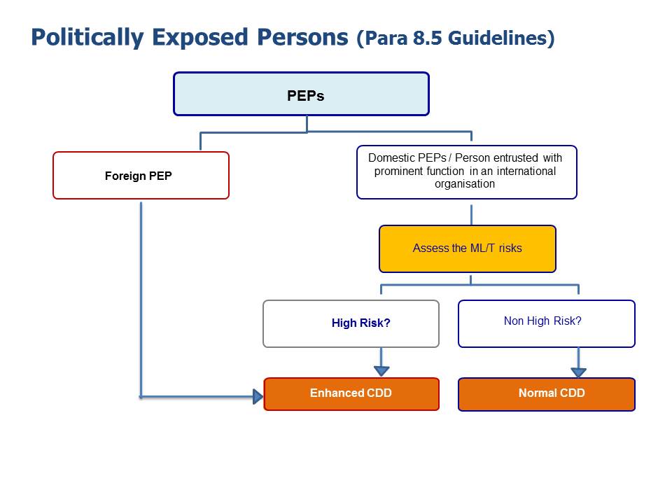 Politically Exposed Persons